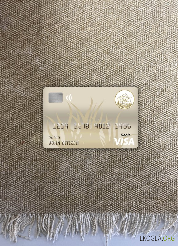 République centrafricaine, banque des États de l'Afrique centrale (beac), carte de débit visa, photolook , avant